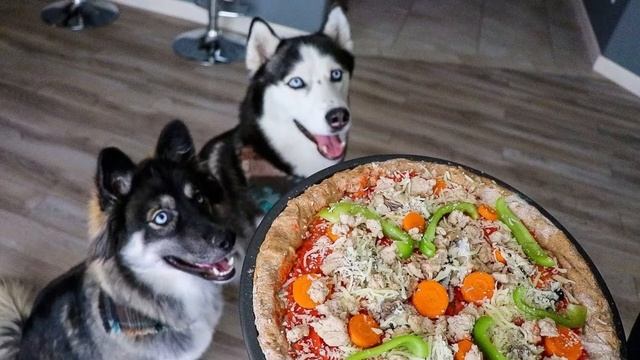 ХАСКИ. УХОД И СОДЕРЖАНИЕ. ПЛЮСЫ И МИНУСЫ. смотреть онлайн