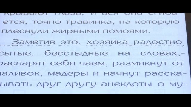 Представляем ONYX BOOX Viking