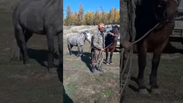 4.Саха ата смотреть онлайн