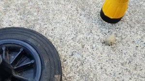 How to Remove Garbage Recycling Bin Wheels