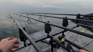 Как подключить сигнализатор JRC DSI/Flajzar Fishtron к пейджеру