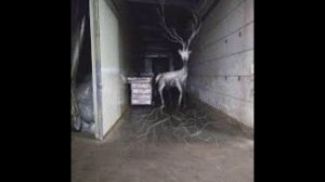 Монстры Тревора Хендерсона 28 Часть