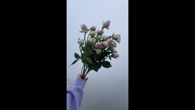 Мужчина-Стрелец и Женщина-Стрелец | Совместимость в любви по знаку зодиака смотреть онлайн