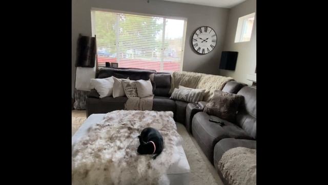 PSA TV2112 vs SVS PB16 ultra comparison. #subwoofer #hometheater #hifi смотреть онлайн