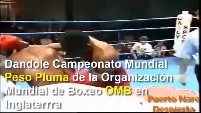 El Huracán Palacio campeón mundial смотреть онлайн