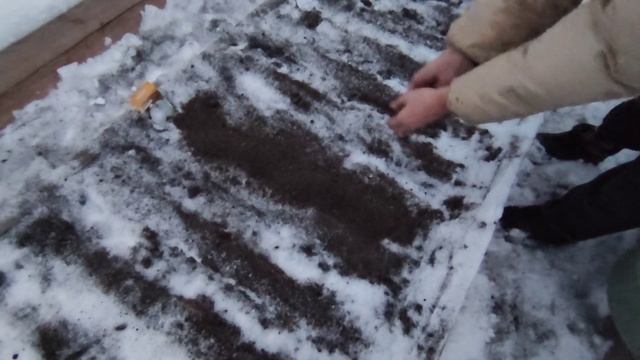 КАК ПОСАДИТЬ ЛУК СЕВОК И ЧЕРНУШКУ ПОД ЗИМУ?! ЧТО МОЖНО ПОСЕЯТЬ В ЗИМУ! смотреть онлайн