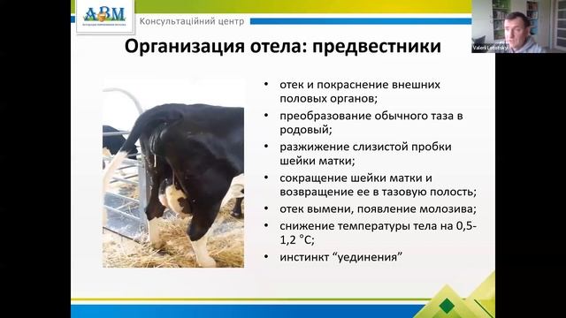 Контроль транзитного периода смотреть онлайн