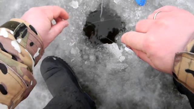 первый лед подмосковье, ловля белой рыбы смотреть онлайн