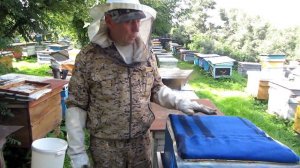 Постановка вторых магазинов в разрез на главном медосборе. Beekeeping.
