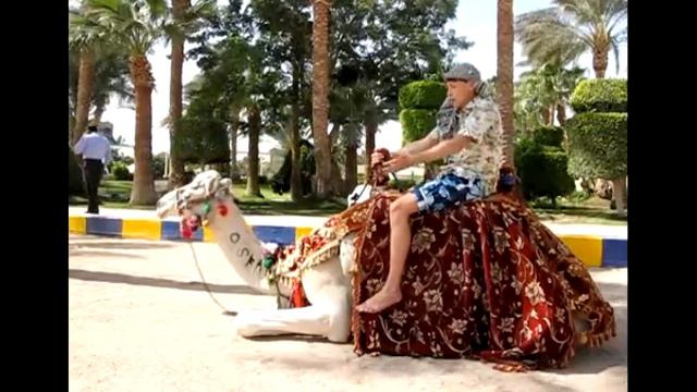 18-ый верблюд смотреть онлайн