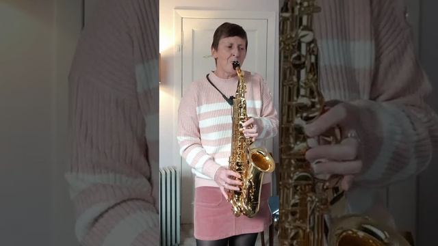 Alto Sax Cover of Black Velvet by Alannah Myles смотреть онлайн