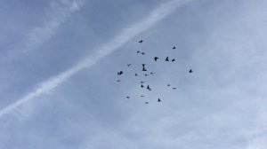 Очередной мастер класс от Гагика Акопяна!