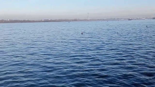 Я всё больше влюбляюсь в это место. смотреть онлайн