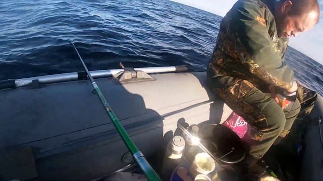 БЕЛОЕ МОРЕ ? Треска на спиннинг + сети . смотреть онлайн