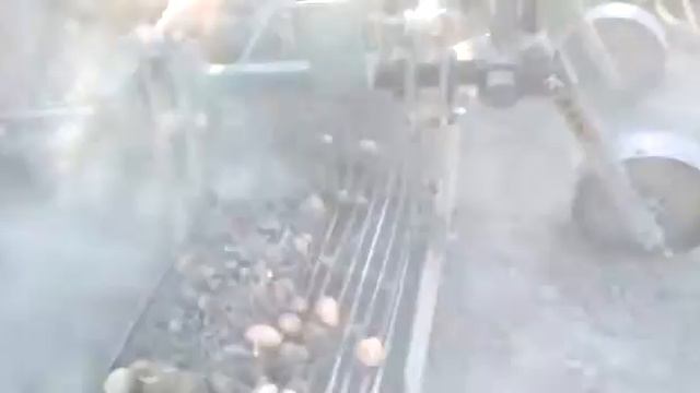 уборка картофеля.mp4 смотреть онлайн