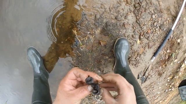 поездка на Морью,поиск артефактов в реке. смотреть онлайн