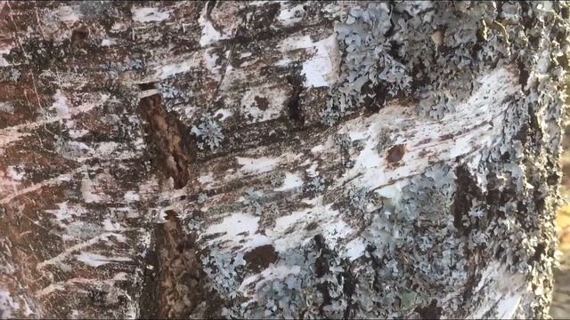 Вкусные десерты от Маргариты