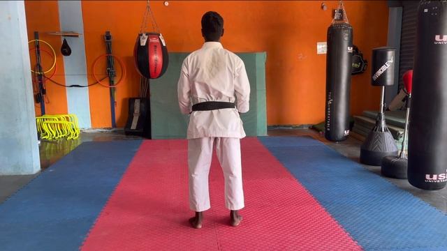 Tekki Shodan kata !! Shotokan Karate katas !! 9th kata !! SS karate !! USS adventures смотреть онлайн