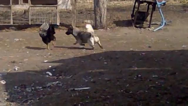 Маленький да удаленький смотреть онлайн