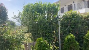 Монтаж сарая из сэндвич панелей