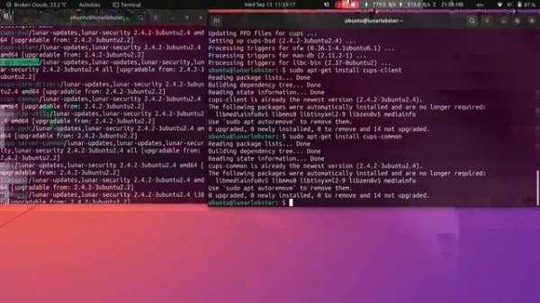 "2023 Ubuntu Update: Simple Terminal Commands I Use!"