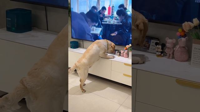 это мне смотреть онлайн