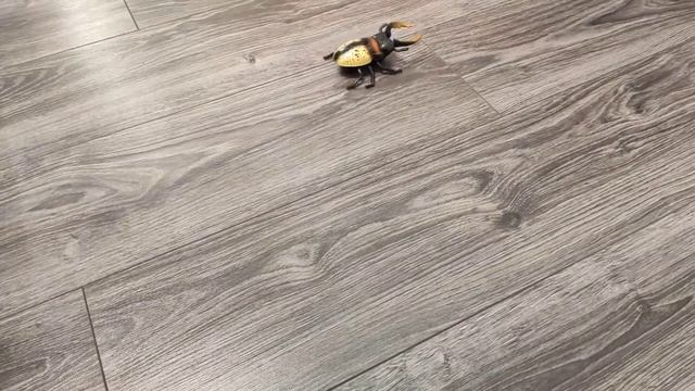 Робо жук-олень Robo Life 1TOY на радиоуправлении