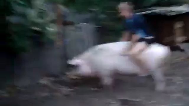Герой Украины смотреть онлайн