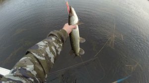 Обзор воблера TsuYoki Draga 130