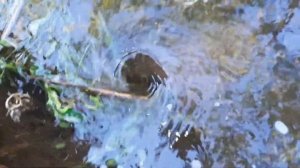 МИНИ ВОДОВОРОТ!