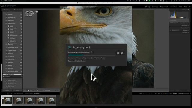 DxO PureRAW 3 Vs The COMPETITION