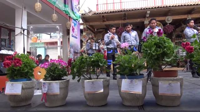 Cotija Cotija Tingambato Feria del Geranio 2016 “Marinos Mexicanos” смотреть онлайн