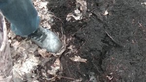 ИЩЕМ В 2 ПРИБОРА EQUINOX 900 И EQUINOX 600