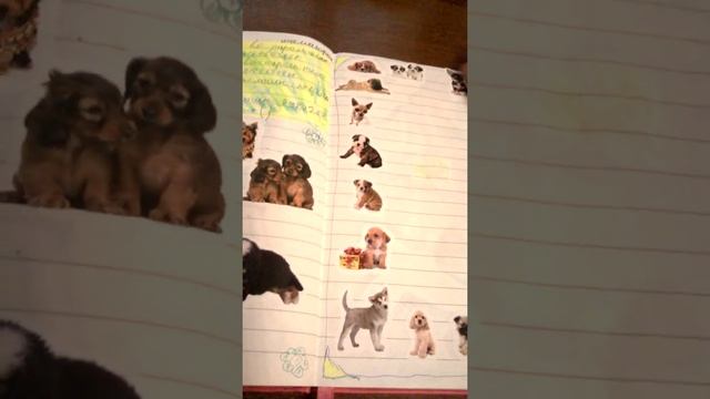 что можно написать в блокноте???? смотреть онлайн