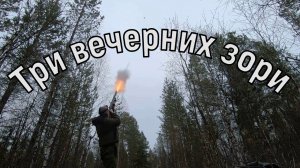 Охота на вальдшнепа.Нашел задавленного лося.