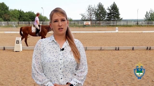 #SкажиОбмануSтоп №12 смотреть онлайн