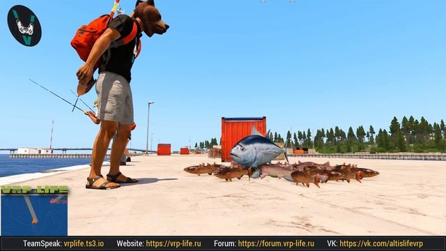 VRP LIFE. как можно начать свою роль на проекте VRP (гайд) R-Zone Game TV arma 3 смотреть онлайн