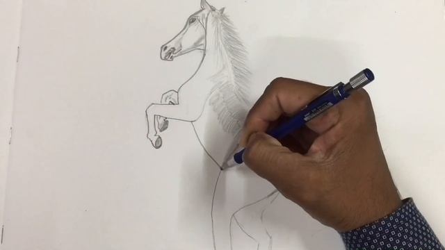 How to draw Horse sketch | pencil drawing | speed drawing смотреть онлайн