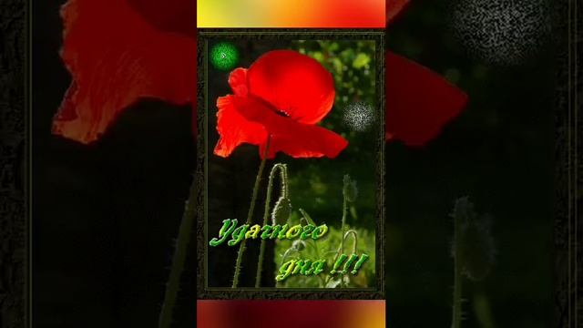 Хорошего Дня и Отличного Настроения! Очень Красивое Пожелание Удачного Дня! Открытка Хорошего Дня смотреть онлайн