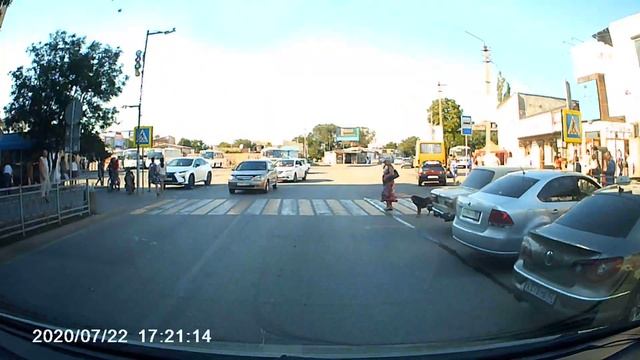 Р Крым, г.Саки, въезд на Автостанцию, 22 июля 2020 г. Двуногая тварь за рулём. Собаки гораздо умней смотреть онлайн