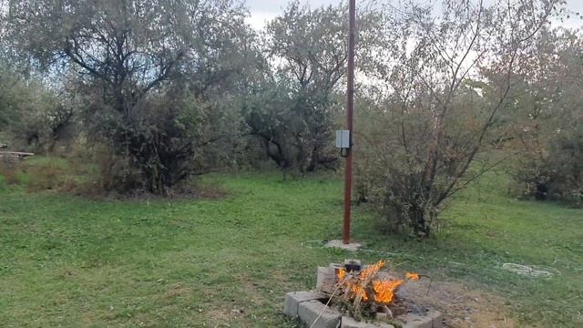 Сентябрь.Еще зеленый.