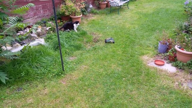 Robot Cat Herder смотреть онлайн