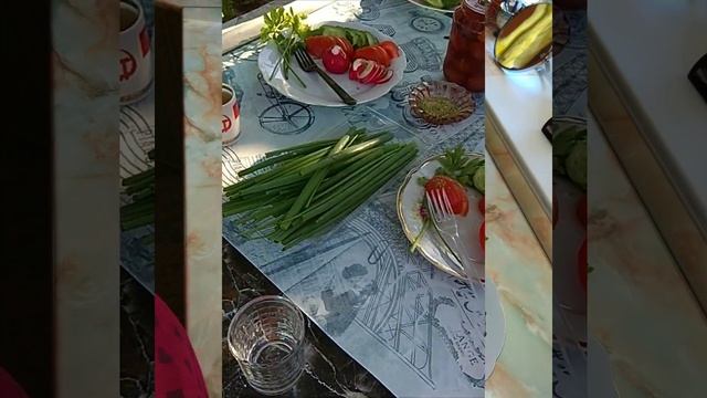 Я на дачу лечу смотреть онлайн