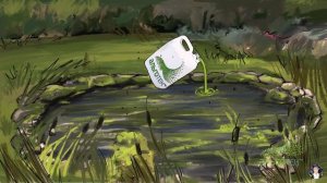 КАК ПРАВИЛЬНО ВНОСИТЬ ХЛОРЕЛЛУ В ВОДОЁМ?