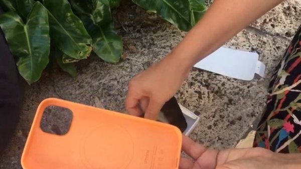 Шок! Купили Iphone 13 (128гб) | Новый айфон 13 | Купили последний айфон | TechReviews