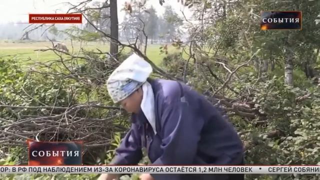 Пожары в России 20.07.2021 смотреть онлайн