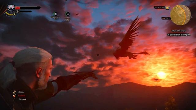 The Witcher 3 Archgriffin - Test смотреть онлайн