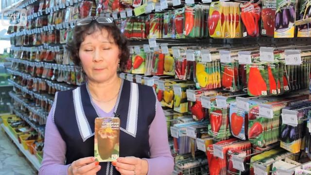 Лучшие сорта перца. Шоколадный перец. смотреть онлайн
