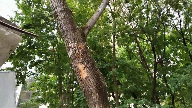 Что бывает когда водитель не чувствует габаритов своей машины смотреть онлайн