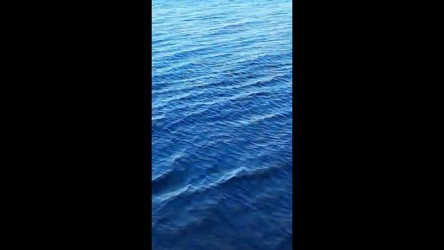 Первый лещ на 2 кг смотреть онлайн